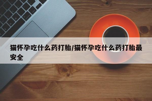 吃什么东西容易导致流产猫怀孕吃什么药打胎/猫怀孕吃什么药打胎最安全
