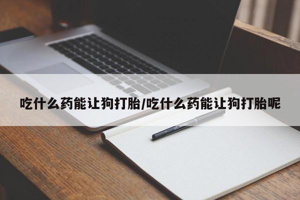 吃什么东西容易导致流产吃什么药能让狗打胎/吃什么药能让狗打胎呢