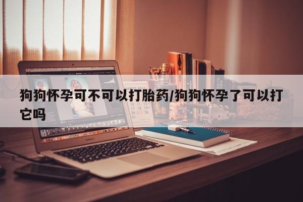 吃什么东西容易导致流产狗狗怀孕可不可以打胎药/狗狗怀孕了可以打它吗