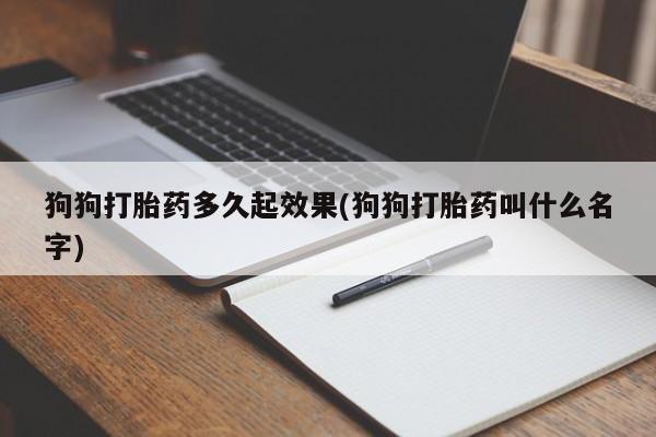 吃什么东西容易导致流产狗狗打胎药多久起效果(狗狗打胎药叫什么名字)