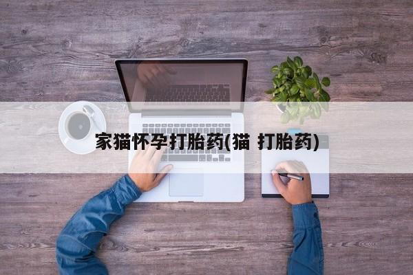 吃什么东西容易导致流产家猫怀孕打胎药(猫 打胎药)